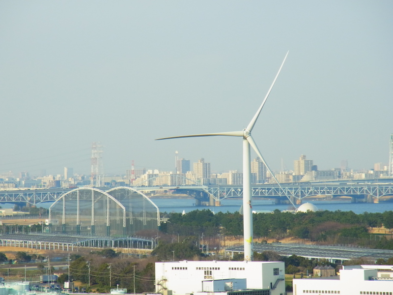 b0190242_11481872.jpg