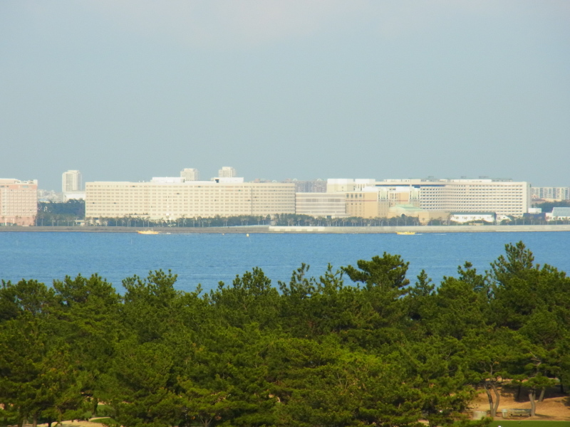 b0190242_11491033.jpg