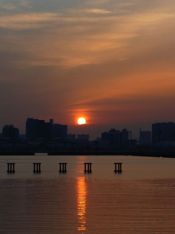 b0190242_1157287.jpg