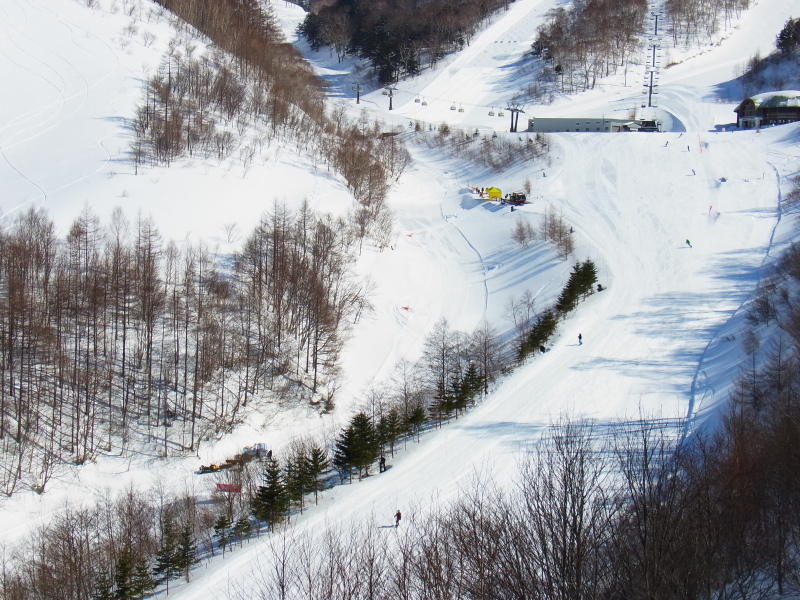 b0190242_20132948.jpg