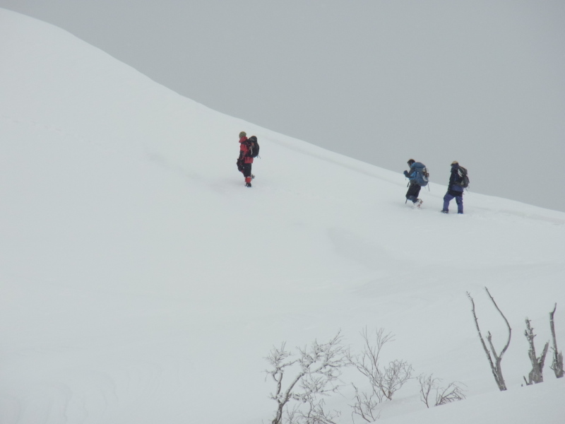 b0190242_20182364.jpg