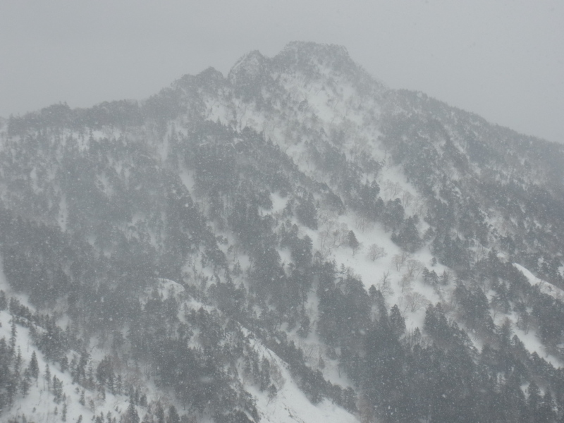 b0190242_20204323.jpg