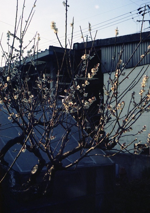 d0089742_17461734.jpg