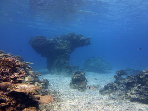 f0014842_19263898.jpg