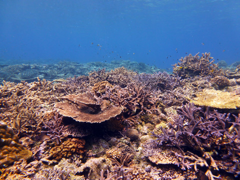 f0014842_19265835.jpg