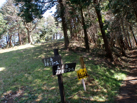 b0168843_16292135.jpg