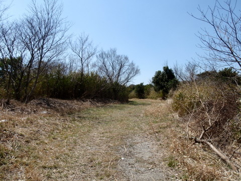 b0168843_16294379.jpg