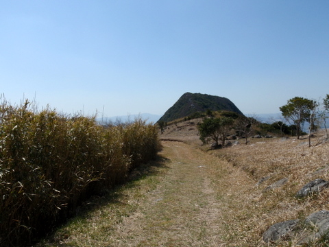 b0168843_163004.jpg