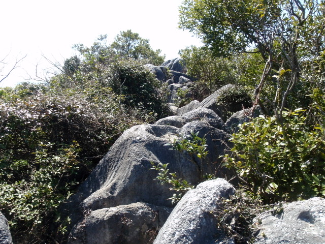 b0168843_2054179.jpg