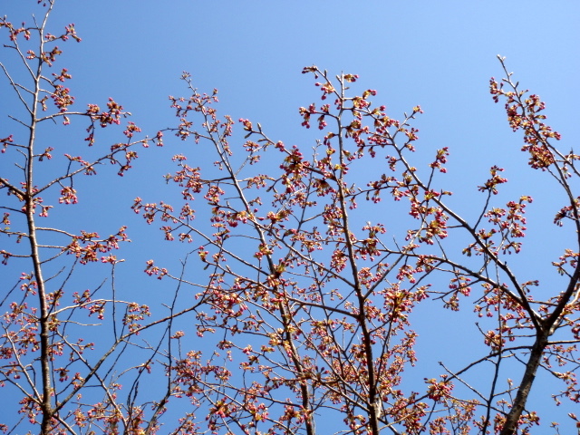 b0168843_2056522.jpg