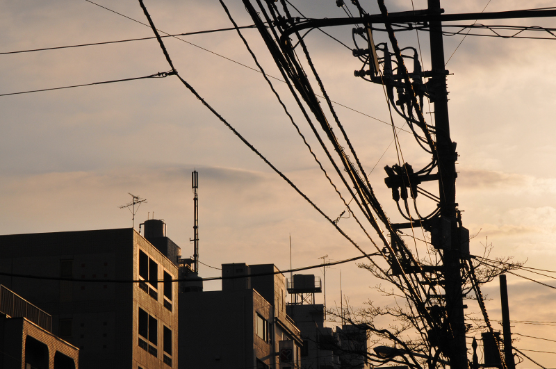 d0018646_521467.jpg