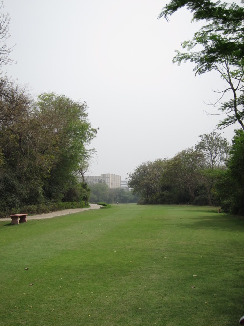 d0141457_220665.jpg
