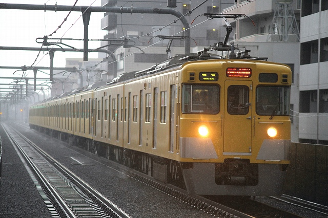 b0002858_2011288.jpg