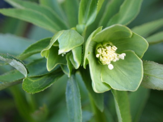 e0105760_7101879.jpg