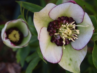 e0105760_7103844.jpg