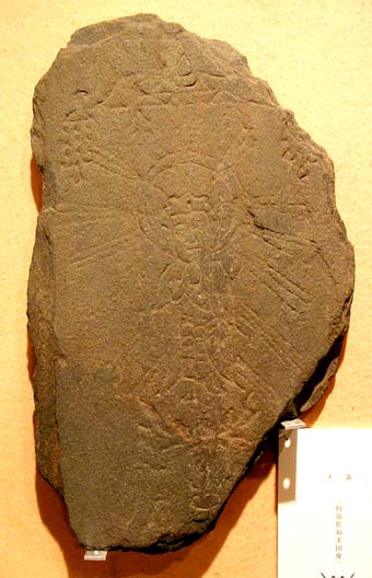e0018762_108054.jpg