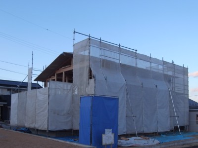 c0166668_885949.jpg
