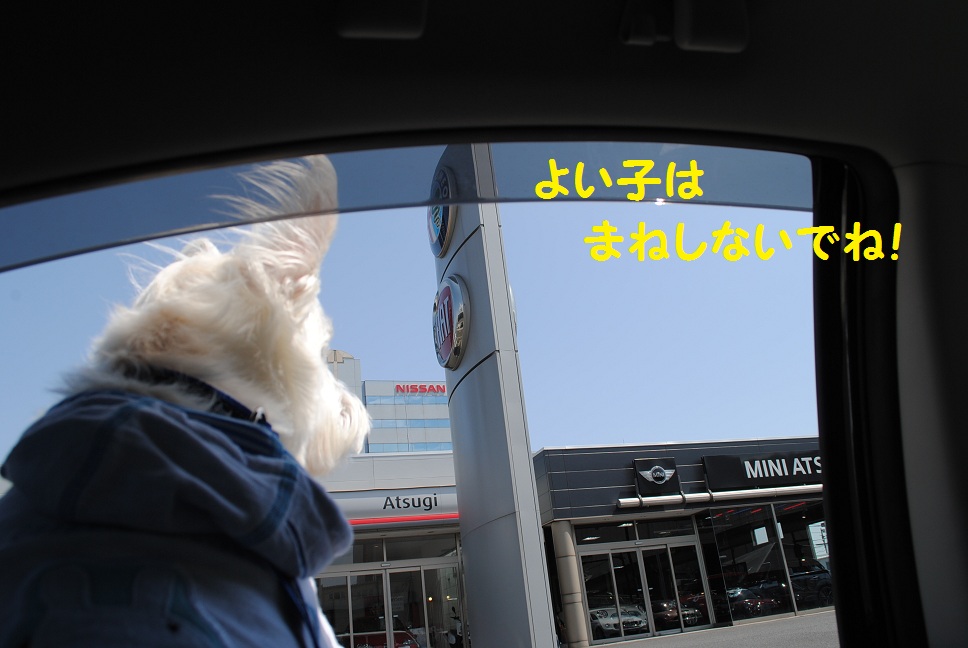 b0242873_0281440.jpg