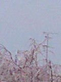 f0061674_1953046.jpg