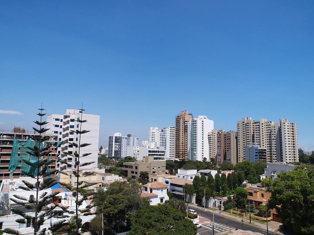 e0242479_2012687.jpg