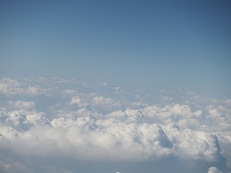 b0094280_1635394.jpg