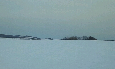 c0232780_83196.jpg