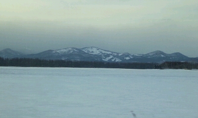 c0232780_842160.jpg