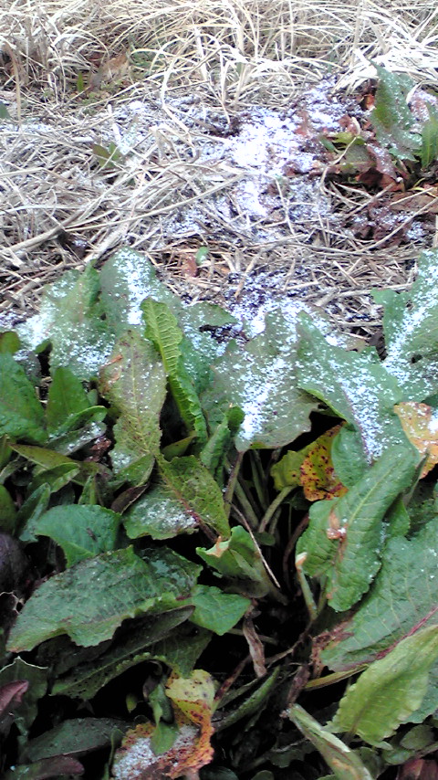 f0223480_23441410.jpg