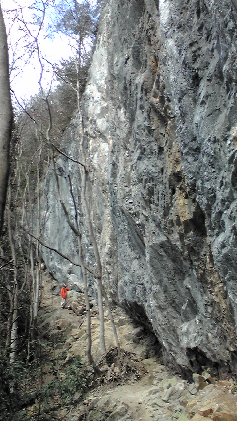 f0223480_23445650.jpg
