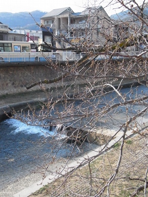 a0165483_16384048.jpg