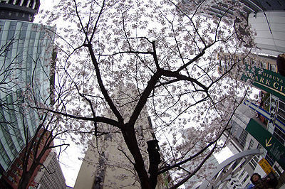 b0056983_1213395.jpg