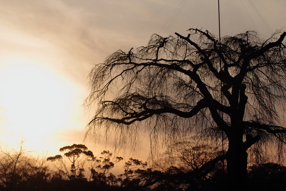 c0239983_015686.jpg