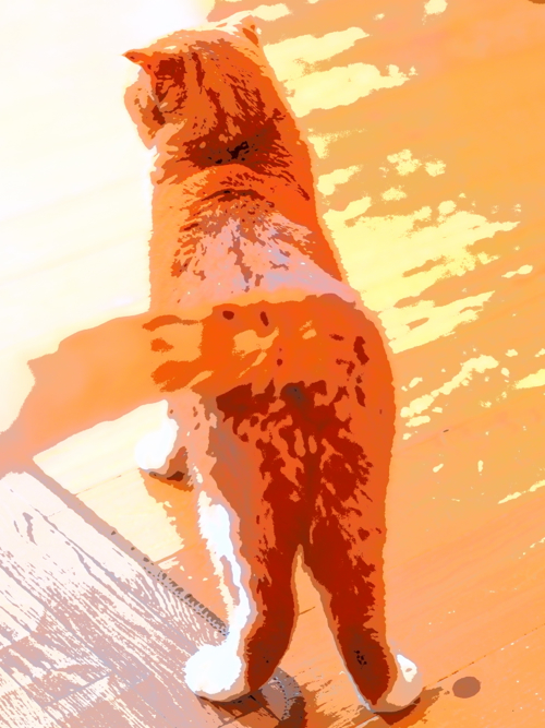 c0198389_1023191.jpg