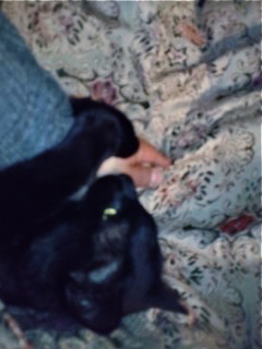 a0199297_17134653.jpg