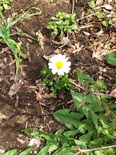 d0047297_21541435.jpg