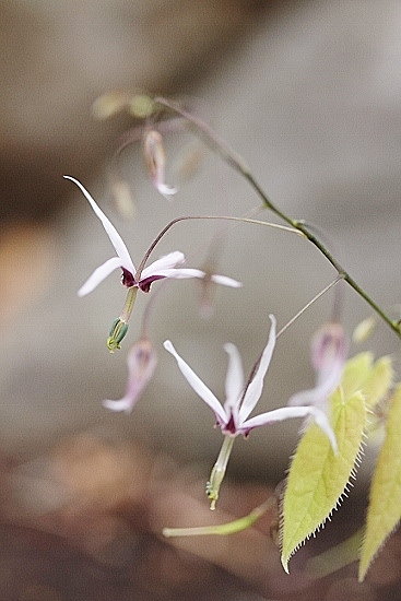 e0209997_15105340.jpg