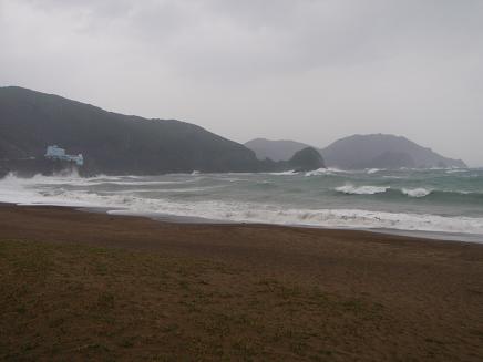 a0125598_2083613.jpg