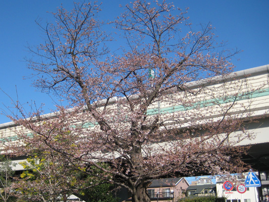 b0097200_23105476.jpg
