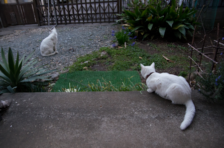 f0239100_21201539.jpg