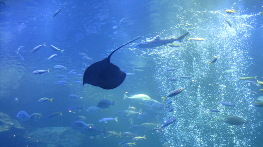 b0168701_13285517.jpg