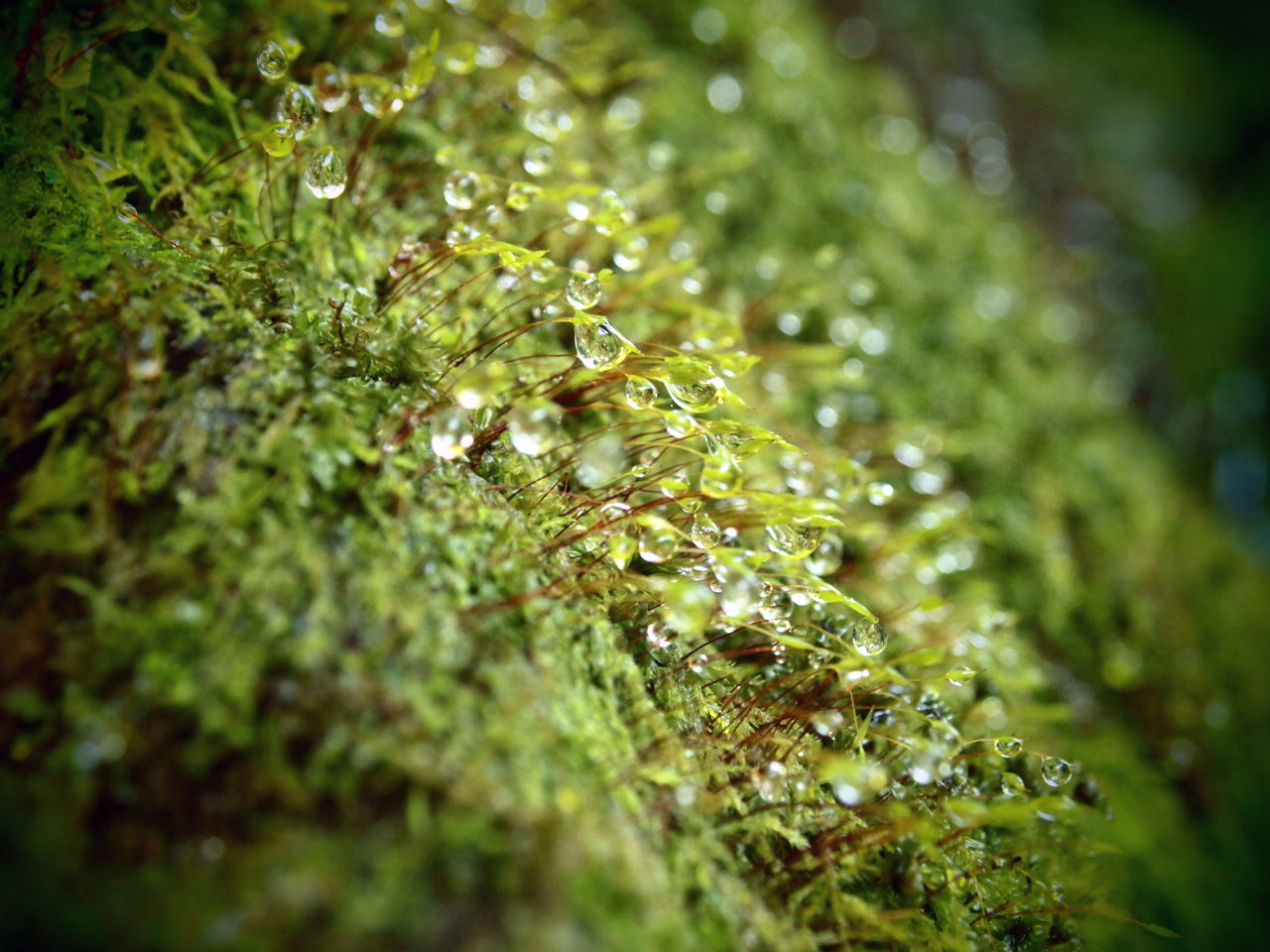 f0236201_8352313.jpg