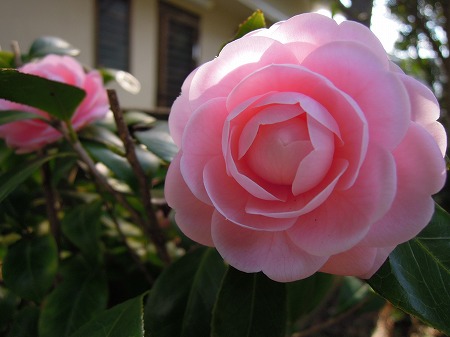 a0041508_23292510.jpg