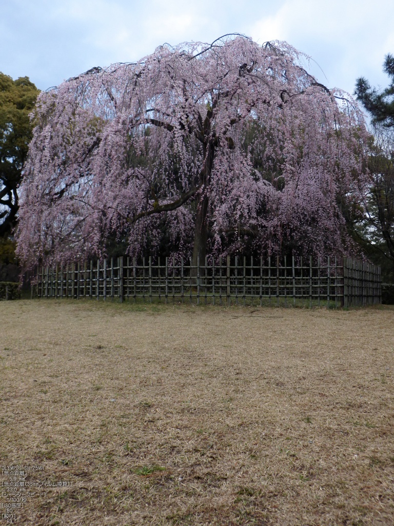 f0221510_22275730.jpg