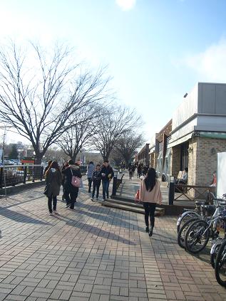 e0006314_1465737.jpg