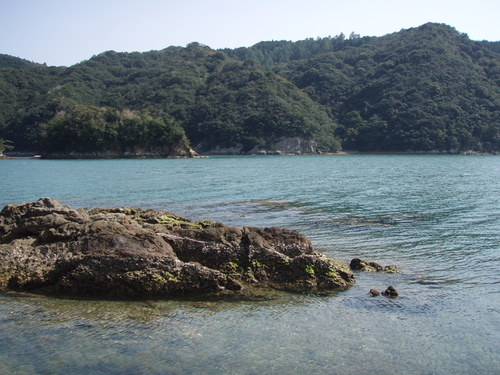b0121015_20294474.jpg