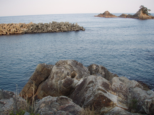 b0121015_20561563.jpg