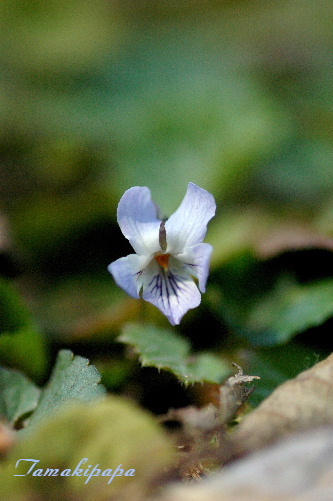 f0212217_1404919.jpg