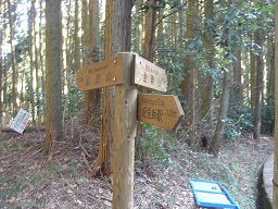 f0000521_77514.jpg