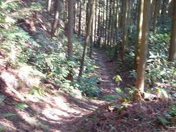 f0000521_793420.jpg