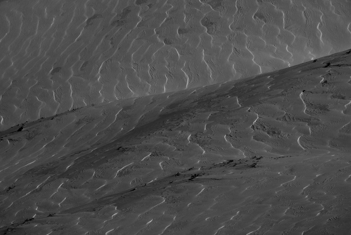 b0062024_728112.jpg